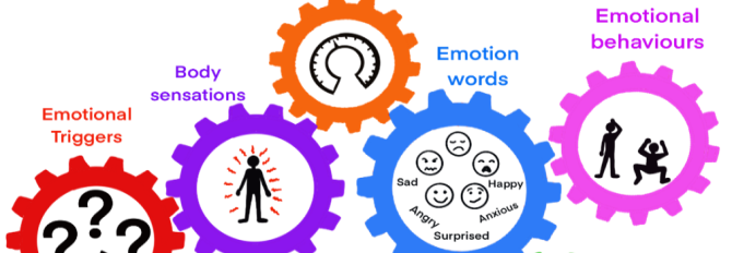 Emotions and Their Impact on Learning